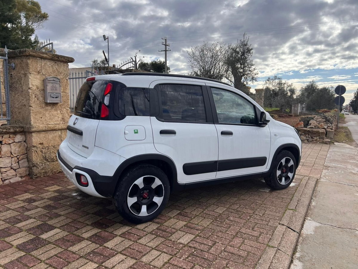 Fiat Panda 1.0 FireFly S&S Hybrid City Cross (4)