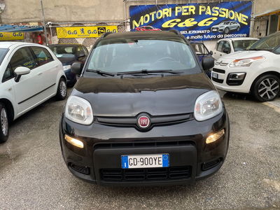 Fiat Panda Cross Cross 1.0 FireFly S&S Hybrid usata
