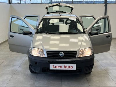 Fiat Punto 1.2 5 porte Actual usata