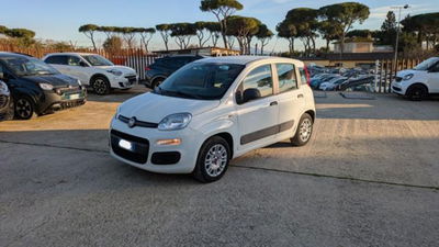 Fiat Panda 1.2 GPL Pop Van 2 posti usata