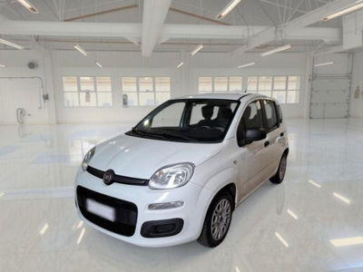 Fiat Panda 1.3 MJT 95 CV S&S Easy usata
