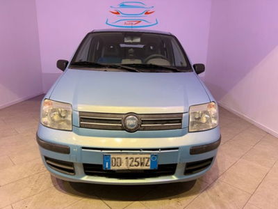 Fiat Panda 1.2 4x4 usata