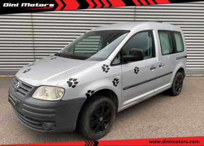 Volkswagen Veicoli Commerciali Caddy 1.9 TDI 105CV 4p. Van Vetrato usato