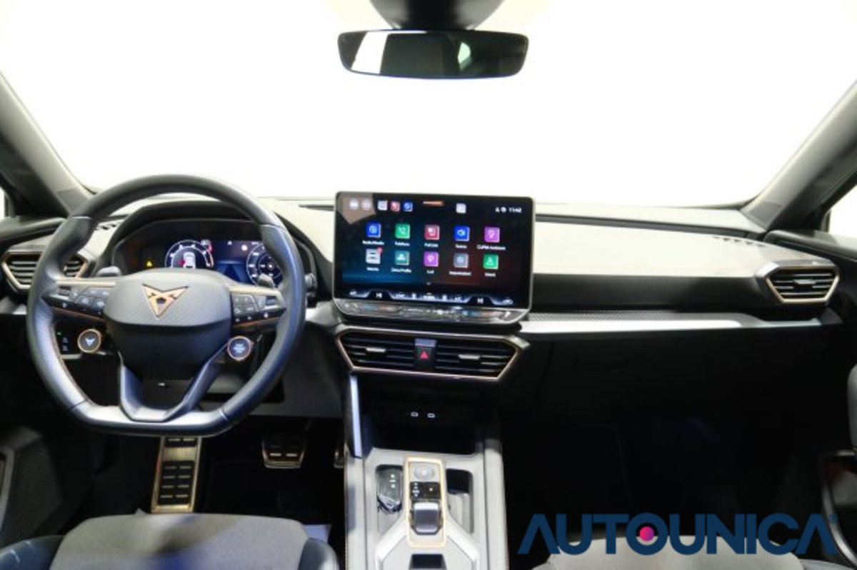 Cupra Formentor Formentor 2.0 TDI (10)