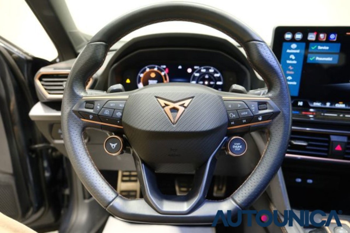 Cupra Formentor Formentor 2.0 TDI (7)