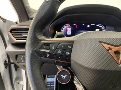 Cupra Formentor 1.5 hybrid 150cv dsg (17)