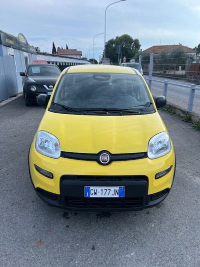 Fiat Panda Cross Cross 1.0 FireFly S&S Hybrid usata