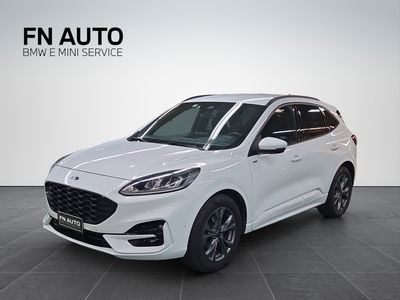 Ford Kuga 2.0 EcoBlue 120 CV aut. 2WD ST-Line X usata