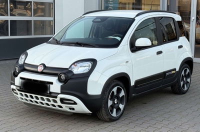 Fiat Panda 1.0 FireFly S&S Hybrid City Cross usata