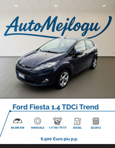 Ford Fiesta Ikon 1.4 TDCi 70CV 5 porte usata