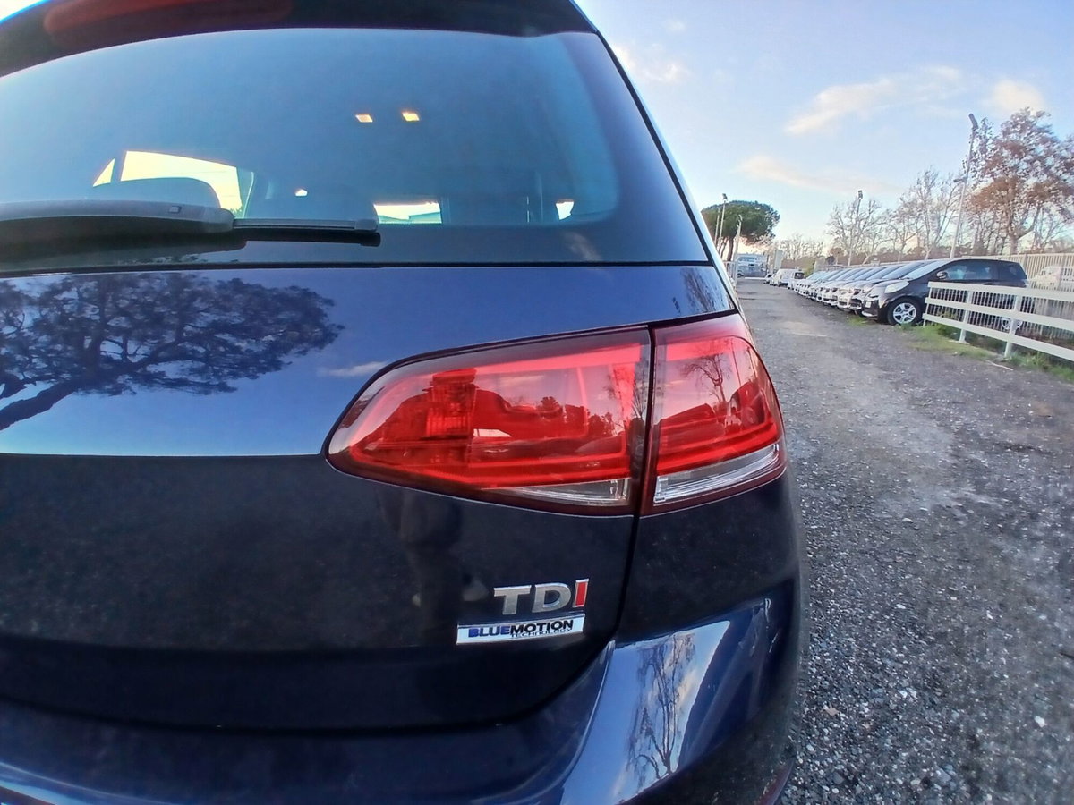Volkswagen Golf 1.6 TDI 110 CV 5p. Highline BlueMotion Technology (14)