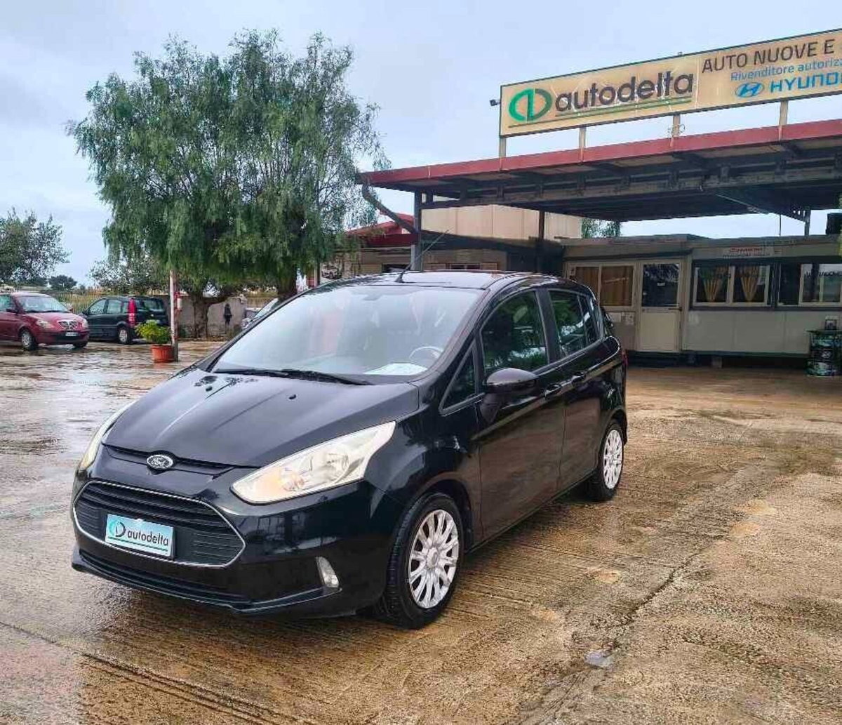 Ford B-Max B-Max 1.0 EcoBoost 100 CV Sport