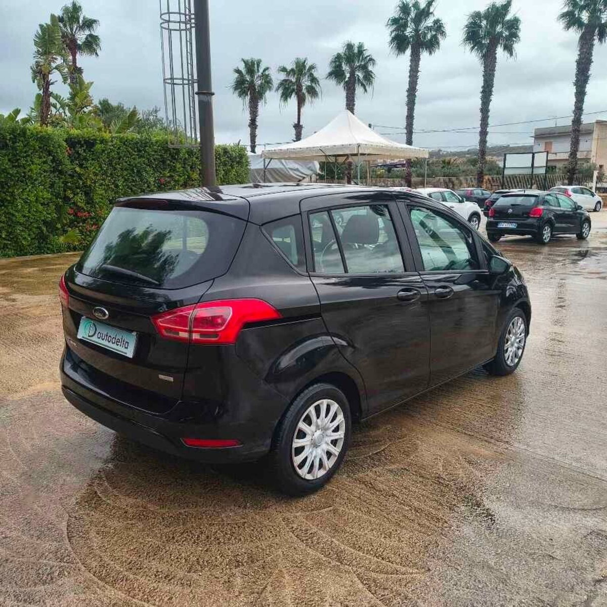 Ford B-Max B-Max 1.0 EcoBoost 100 CV Sport (3)