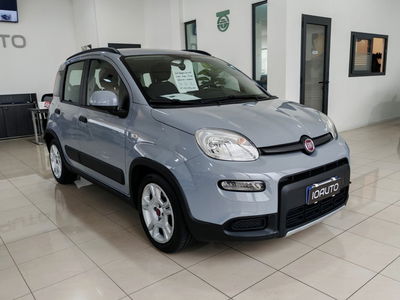 Fiat Panda 1.0 FireFly S&S Hybrid City Life usata