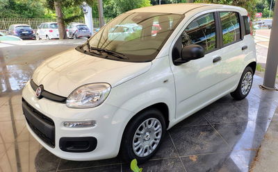Fiat Panda Cross Cross 1.0 FireFly S&S Hybrid nuova
