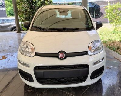 Fiat Panda Cross Cross 1.0 FireFly S&S Hybrid (4)