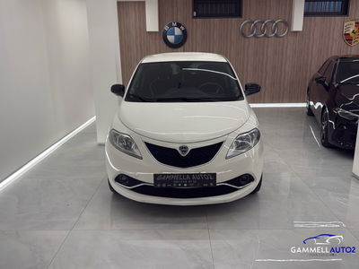 Lancia Ypsilon 1.3 MJT 16V 80 CV 5 porte S&S Gold usata