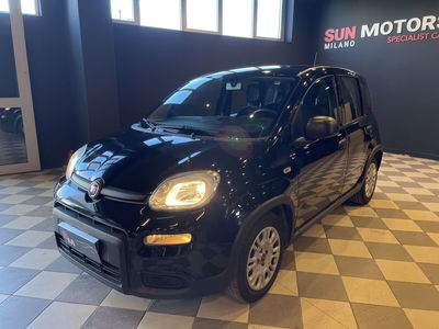 Fiat Panda Cross Cross 1.0 FireFly S&S Hybrid usata