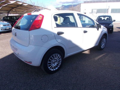 Fiat Punto 1.4 8V 5 porte Natural Power Street (3)
