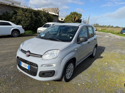 Fiat Panda 1.2 Easy usata