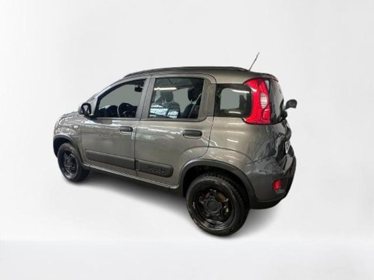 Fiat Panda 0.9 TwinAir Turbo S&S 4x4 (6)