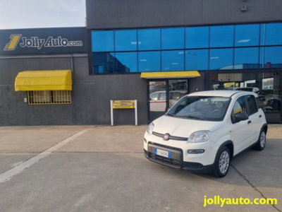Fiat Panda 1.0 firefly hybrid s&s 70cv 5p.ti usata