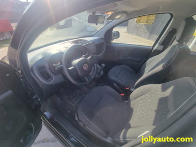Fiat Panda 1.0 firefly hybrid s&s 70cv 5p.ti (10)