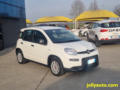 Fiat Panda 1.0 firefly hybrid s&s 70cv 5p.ti (3)