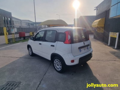 Fiat Panda 1.0 firefly hybrid s&s 70cv 5p.ti (4)