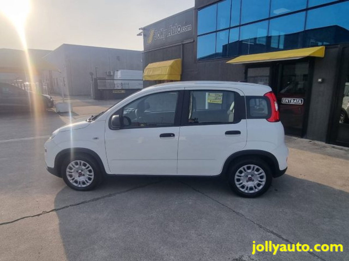 Fiat Panda 1.0 firefly hybrid s&s 70cv 5p.ti (6)