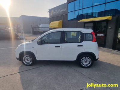 Fiat Panda 1.0 firefly hybrid s&s 70cv 5p.ti (6)