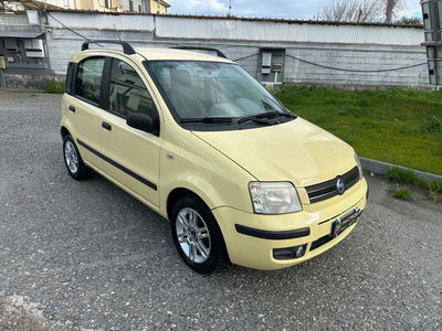 Fiat Panda 1.2 Dynamic usata