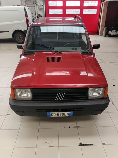 Fiat Panda 1100 i.e. cat Young usata