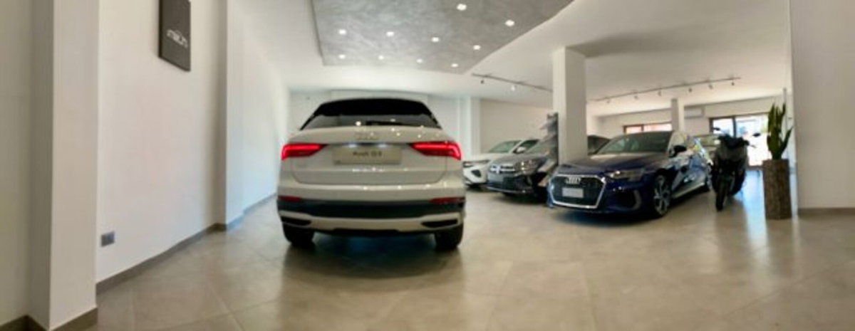 Audi Q3 35 TDI quattro S tronic Business Advanced (4)