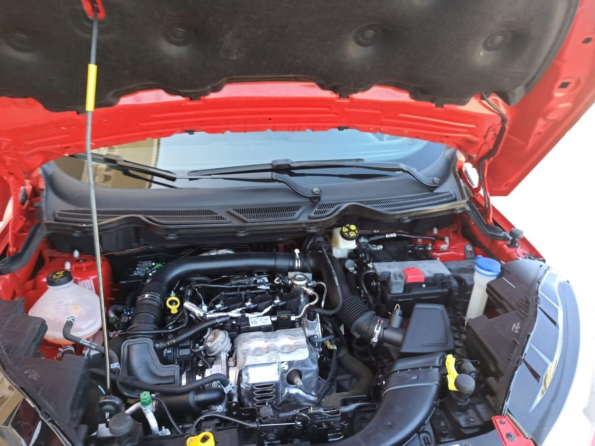 Ford EcoSport 1.0 EcoBoost 100 CV Plus (11)