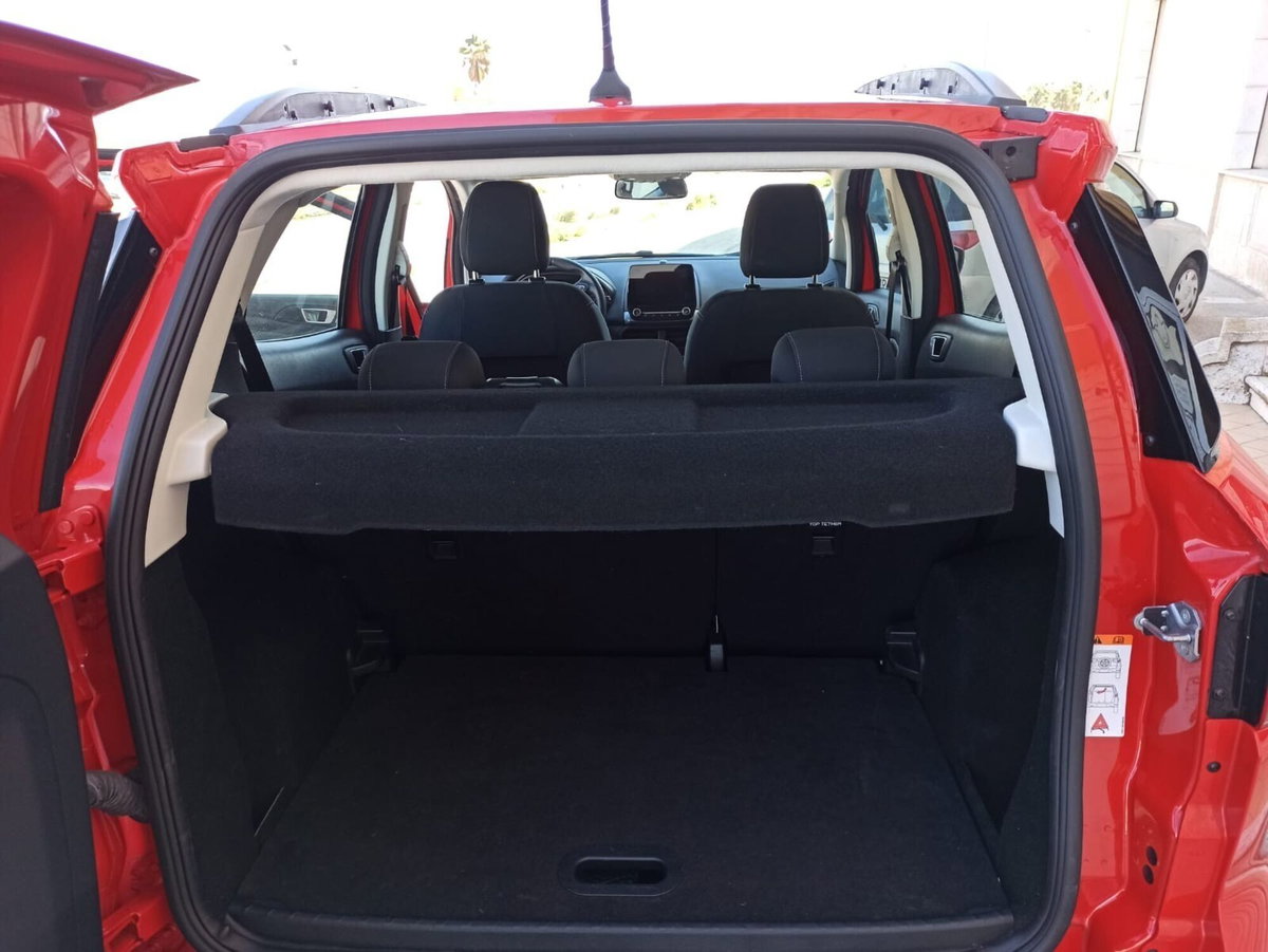 Ford EcoSport 1.0 EcoBoost 100 CV Plus (6)