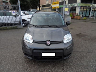Fiat Panda 1.0 FireFly S&S Hybrid City Cross usata