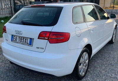 Audi A3 1.6 TDI 90 CV CR F.AP. Ambition (5)