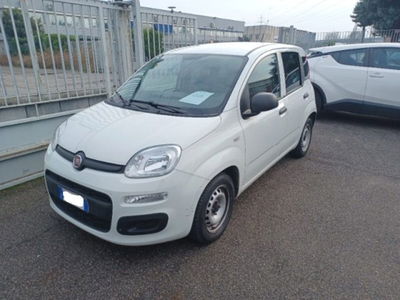 Fiat Panda 1.0 firefly hybrid s&s 70cv 5p.ti usata
