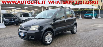 Fiat Panda 1.2 4x4 Climbing usata