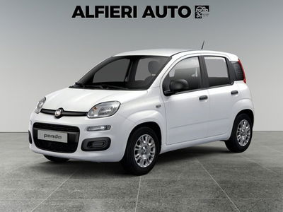 Fiat Pandina 1.0 firefly hybrid Icon s&s 65cv nuova