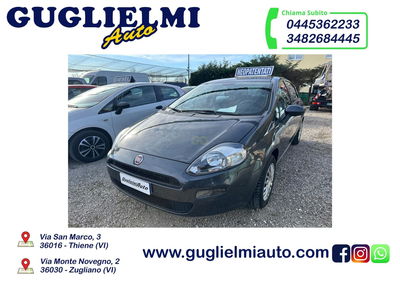 Fiat Punto 1.2 8V 5 porte Street usata