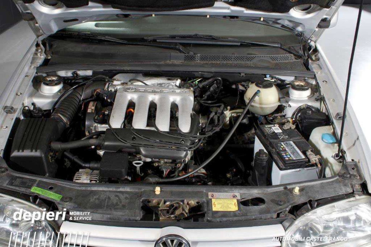 Volkswagen Golf 2.0 16V cat 5p GTI 20 Years Edition (18)