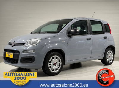 Fiat Panda 1.2 EasyPower usata