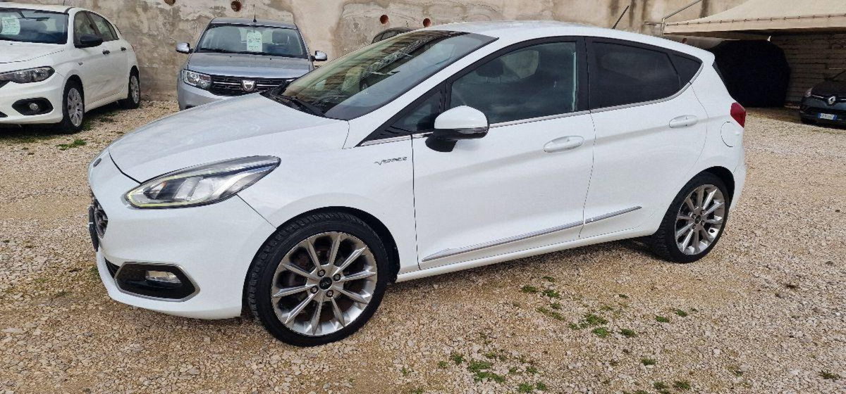 Ford Fiesta 1.5 TDCi 120 CV 5 porte Vignale (3)