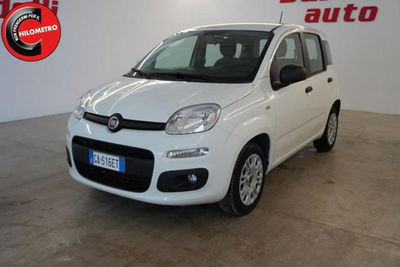 Fiat Panda 1.2 EasyPower Easy usata