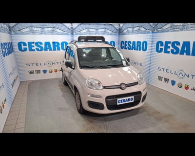 Fiat Panda 1.2 Easy usata