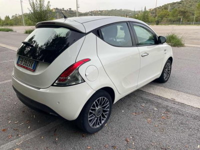 Lancia Ypsilon 1.3 MJT 16V 95 CV 5 porte S&S Elle (6)