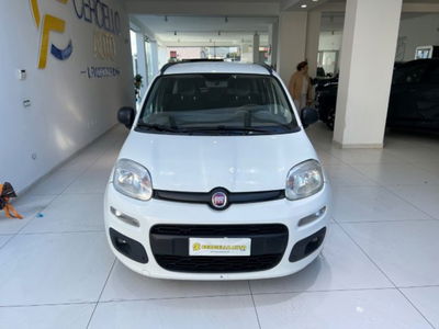 Fiat Panda 1.3 MJT S&S Lounge usata