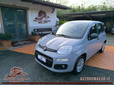 Fiat Panda 1.2 Easy usata